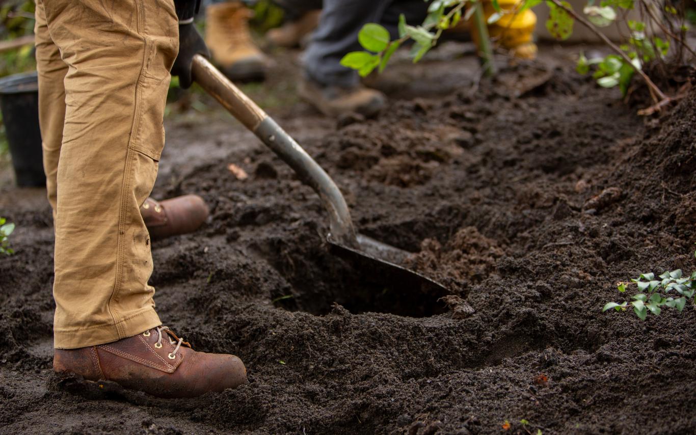 The legs and shovel of a person digging in soil.