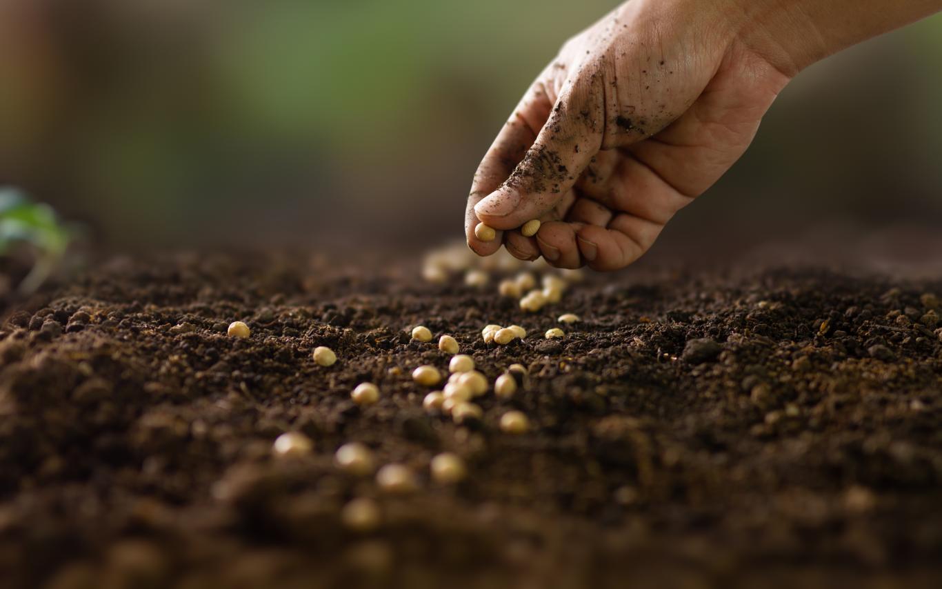 Hand planting seeds in the soil.